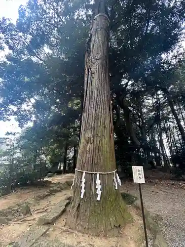 間々田八幡宮(栃木県)