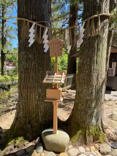 大崎八幡宮(宮城県)