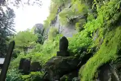 宝珠山 立石寺の自然