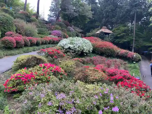 塩船観音寺(東京都)