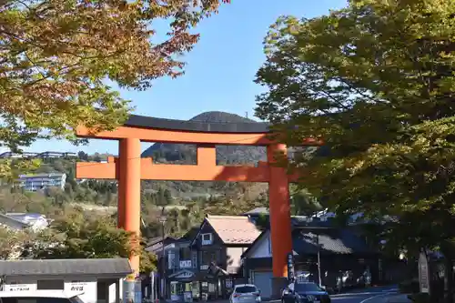 箱根神社の鳥居