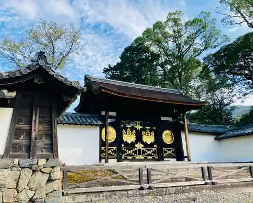 醍醐寺(京都府)