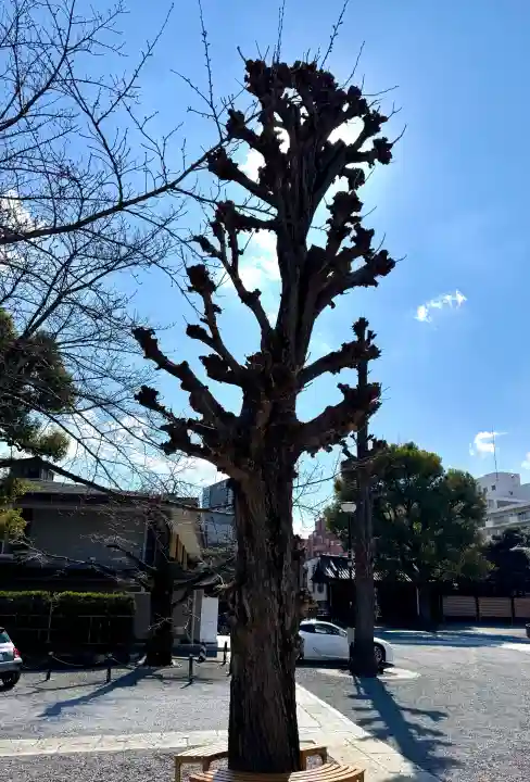 宝仙寺の{uncategorized: "未分類", other: "その他", undefined: "問題あり", building: "その他建物", grave: "お墓", sacred_gate: "鳥居", guardian: "狛犬", statue: "像", buddha: "仏像", history: "歴史", nature: "自然", garden: "庭園", animal: "動物", pagoda: "塔", temizu: "手水舎", mountain_gate: "山門・神門", sanctuary: "本殿・本堂", subordinate: "末社・摂社", art: "芸術", scenery: "景色", jizo: "地蔵", ema: "絵馬", goshuin: "御朱印", omikuji: "おみくじ", items: "授与品その他", amulet: "お守り", goshuincho: "御朱印帳", eats: "食事", festival: "お祭り", votive_dance: "神楽", shichigosan: "七五三参", wedding: "結婚式", experience: "体験その他", initially: "初詣", around: "周辺", anti_infection: "感染症対策"}