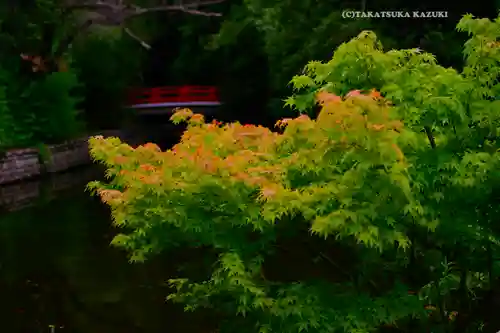 武蔵一宮氷川神社(埼玉県)