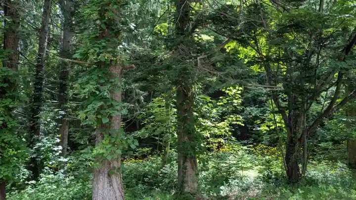 喜茂別神社の自然
