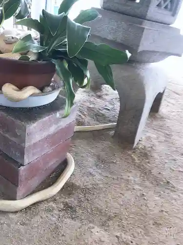 岩国白蛇神社のその他建物