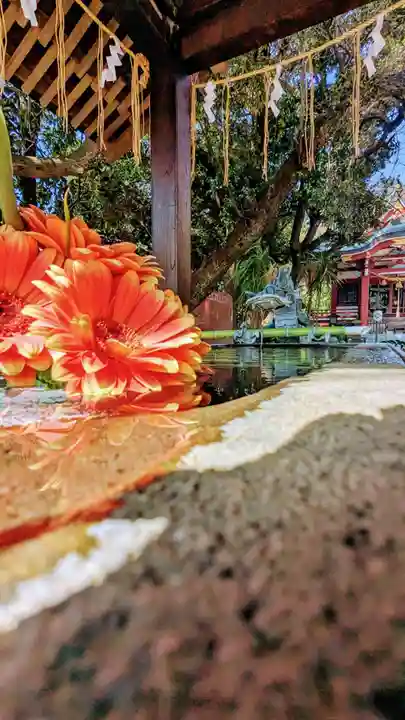 柏諏訪神社の手水舎