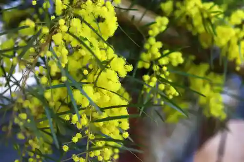 三津厳島神社(愛媛県)