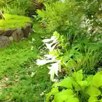 寿量山 速成寺の自然