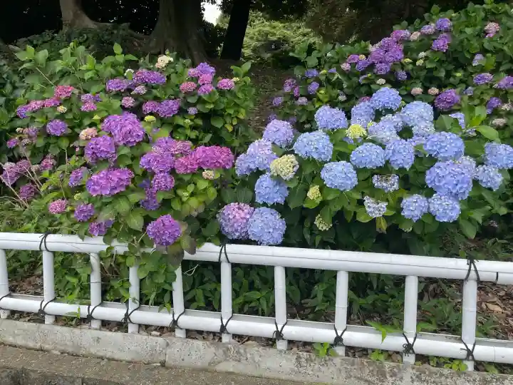 性海寺(愛知県)