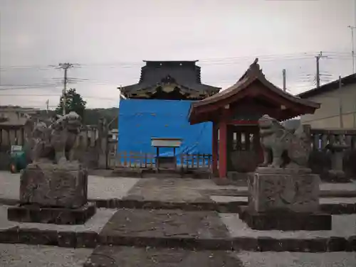 大杉神社の狛犬