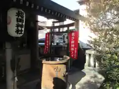 櫻田神社(東京都)