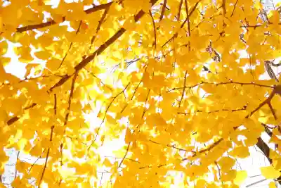 下野國一社八幡宮(栃木県)