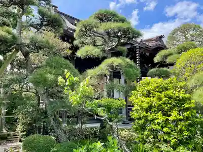 大巧寺(神奈川県)
