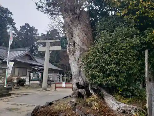 屯倉神社の周辺
