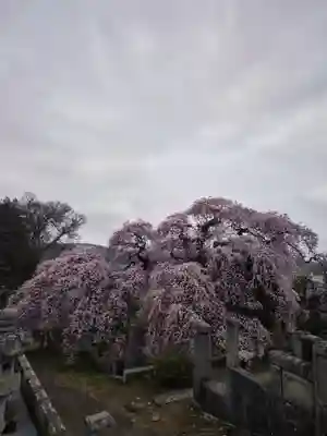 日輪寺(福島県)
