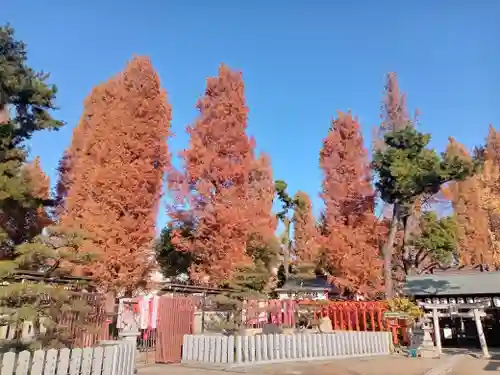 阿部野神社(大阪府)
