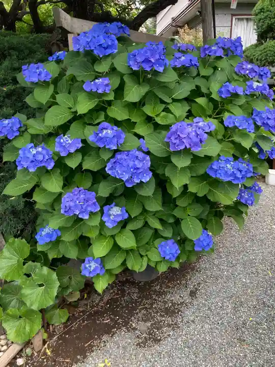 正法院(神奈川県)