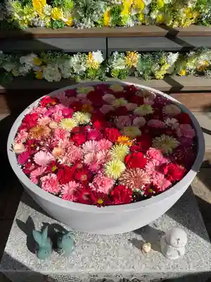 法輪寺(東京都)