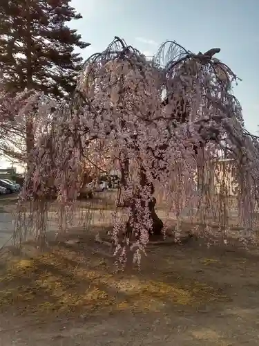 法運寺(宮城県)