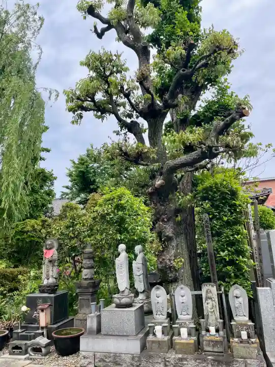 大林院の{uncategorized: "未分類", other: "その他", undefined: "問題あり", building: "その他建物", grave: "お墓", sacred_gate: "鳥居", guardian: "狛犬", statue: "像", buddha: "仏像", history: "歴史", nature: "自然", garden: "庭園", animal: "動物", pagoda: "塔", temizu: "手水舎", mountain_gate: "山門・神門", sanctuary: "本殿・本堂", subordinate: "末社・摂社", art: "芸術", scenery: "景色", jizo: "地蔵", ema: "絵馬", goshuin: "御朱印", omikuji: "おみくじ", items: "授与品その他", amulet: "お守り", goshuincho: "御朱印帳", eats: "食事", festival: "お祭り", votive_dance: "神楽", shichigosan: "七五三参", wedding: "結婚式", experience: "体験その他", initially: "初詣", around: "周辺", anti_infection: "感染症対策"}