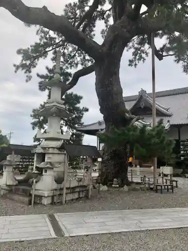 大慶寺のその他建物