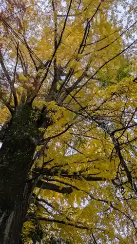 観音寺（山崎聖天）(京都府)