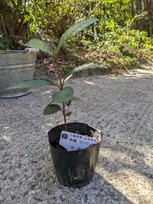 石内のお大師さん　金剛院(広島県)