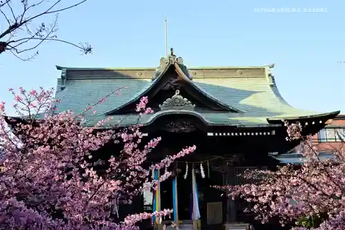 桜神宮の本殿・本堂