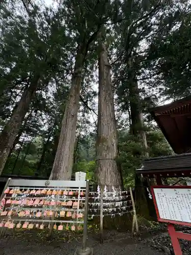 日光二荒山神社(栃木県)
