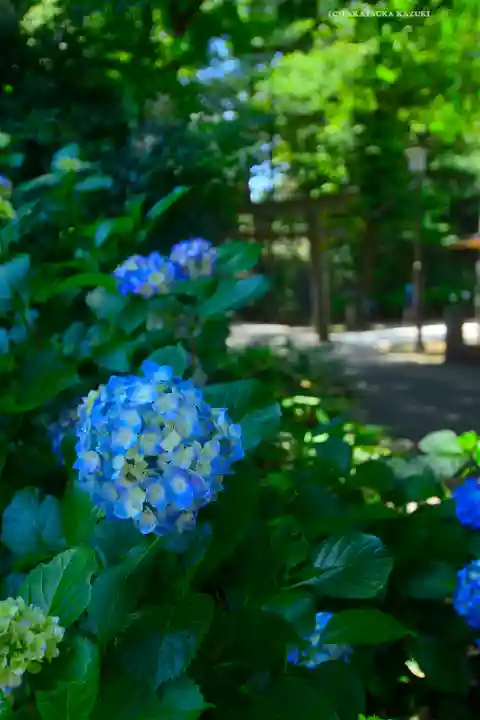 仙波東照宮(埼玉県)