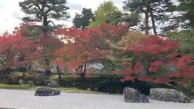 相国寺（相国承天禅寺）(京都府)