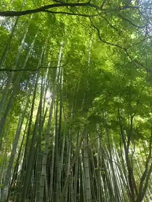 建長寺 半僧坊(神奈川県)
