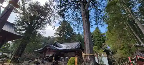 北口本宮冨士浅間神社の景色