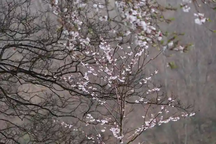 鹿島大神宮の自然