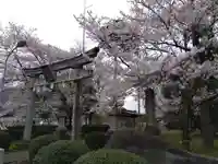 白山神社(福井県)