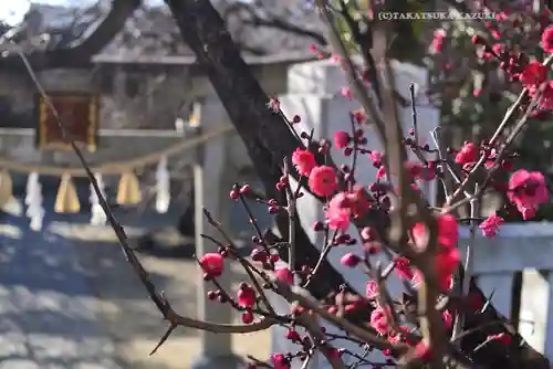北野神社(東京都)