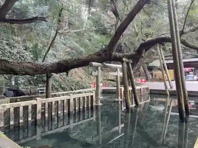 鹿島神宮(茨城県)