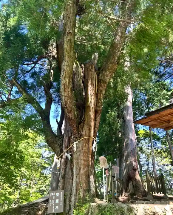 産安社(武蔵御嶽神社摂社)(東京都)