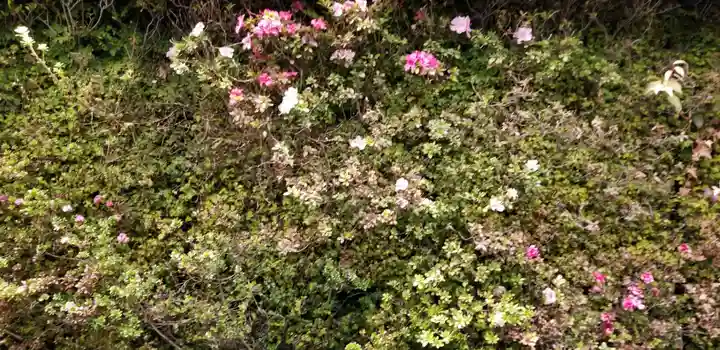 伏見稲荷神社の自然