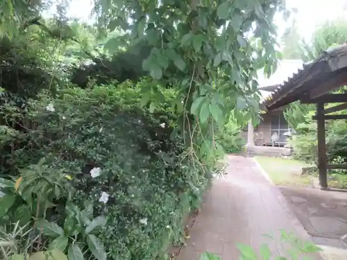 龍泉寺(神奈川県)