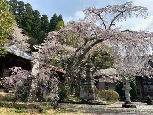 成願寺(千葉県)