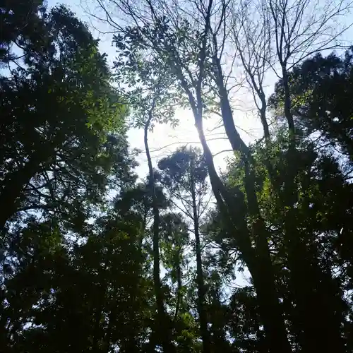 鹿島神宮の自然