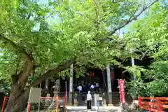 金剛宝寺（紀三井寺）の本殿