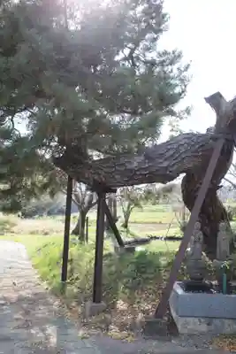 興長禅寺の自然