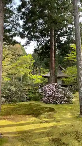 三千院門跡(京都府)