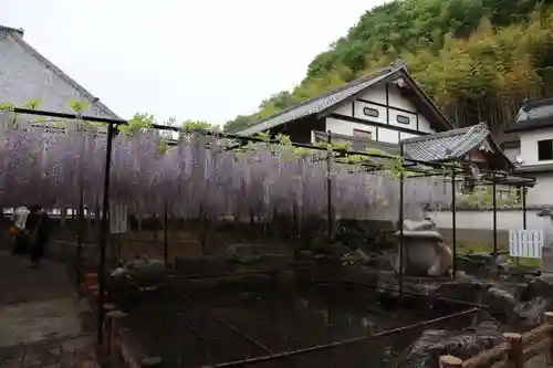 長泉寺の庭園