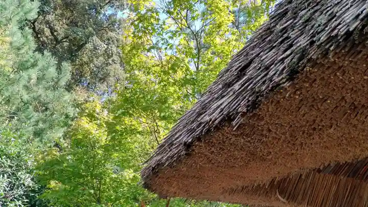 高台寺(高台寿聖禅寺・高臺寺)の本殿・本堂