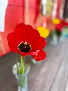 伊達神社(北海道)(2022年05月10日(火) 17時52分10秒投稿)