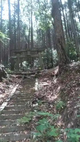 白山神社の鳥居